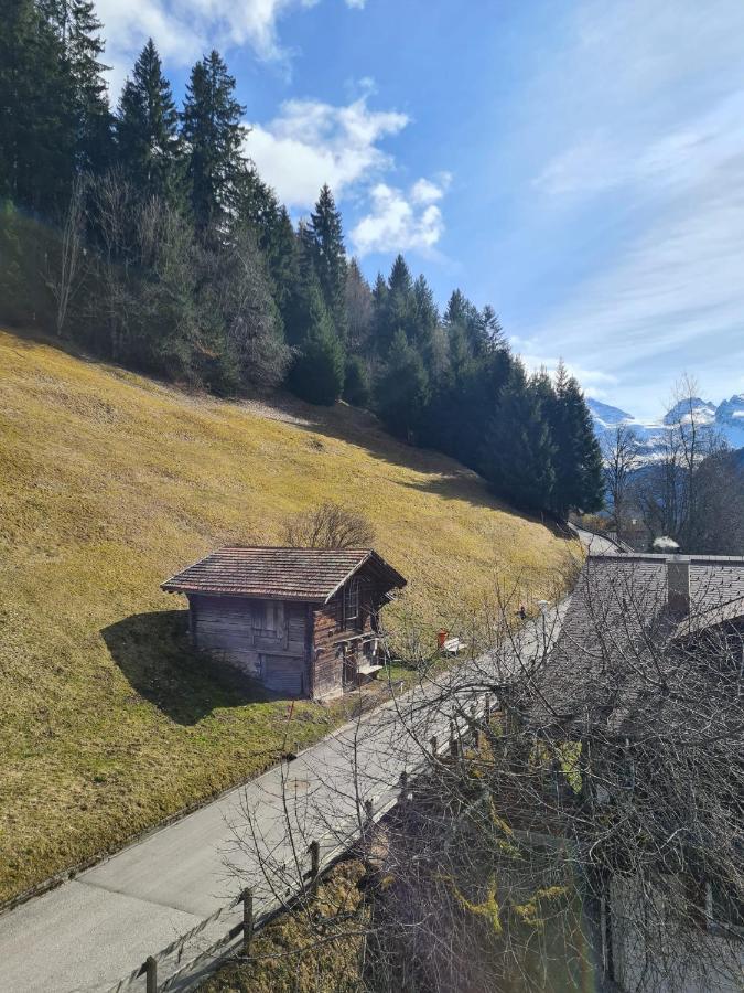 Traditional Chalet In Wengen - Top Floor Apartment Exterior photo